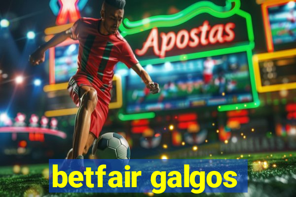 betfair galgos